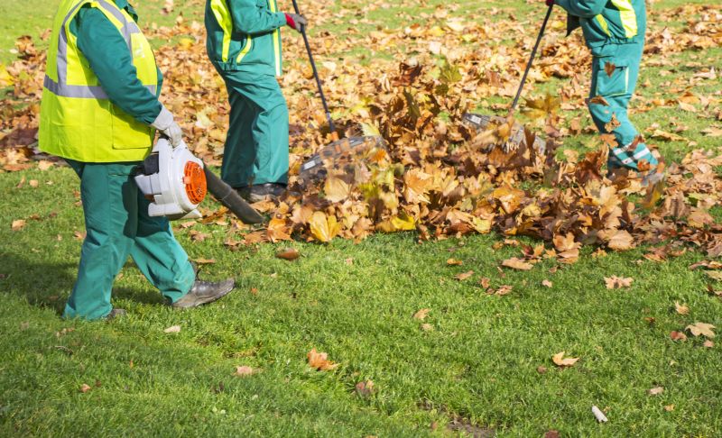 Contact About Leaf Blowing