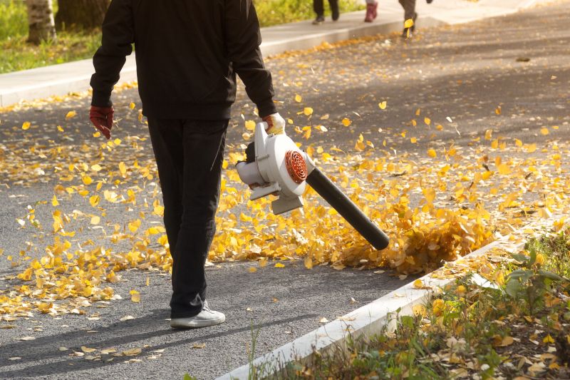 Understanding Leaf Blowing Costs — Cost of Leaf Blowing