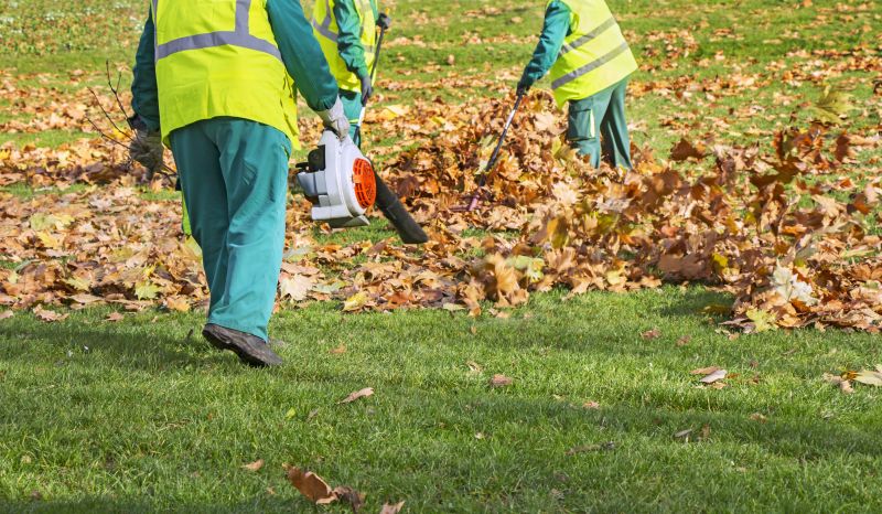 Understanding Leaf Blowing Costs — Cost of Leaf Blowing