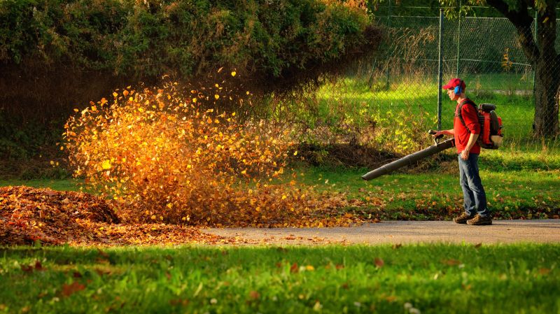 Understanding Leaf Blowing Costs — Cost of Leaf Blowing