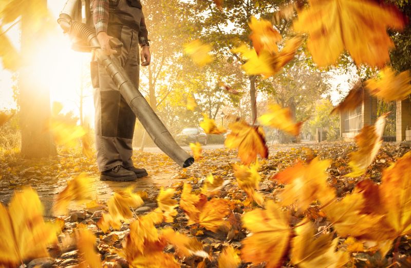 Understanding Leaf Blowing Costs — Cost of Leaf Blowing
