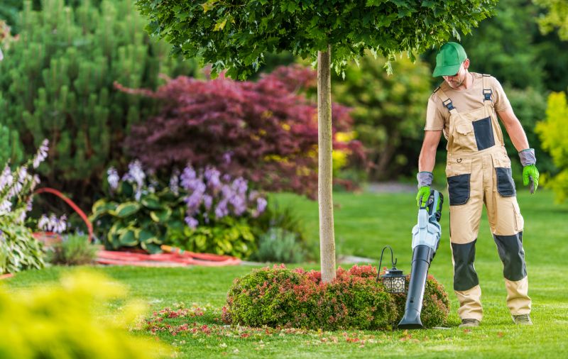 Understanding Leaf Blowing Costs — Cost of Leaf Blowing