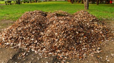 Get Professional Leaf Blowing To Prevent Mold and Mildew Growth That Can Occur When Leaves Are Left To Rot!