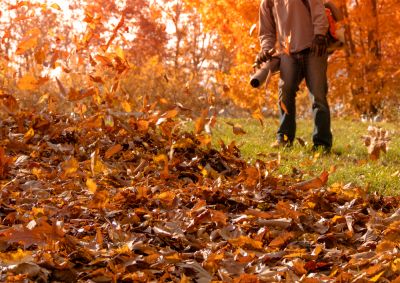 Get Professional Leaf Blowing To Remove Piles of Leaves From your Property!