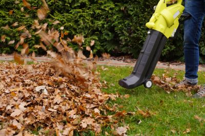 Get Professional Leaf Blowing To Save Time and Energy, Saving You From hours of Raking!